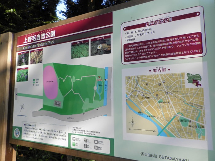 上野毛自然公園(公園)まで394m ピノハウス