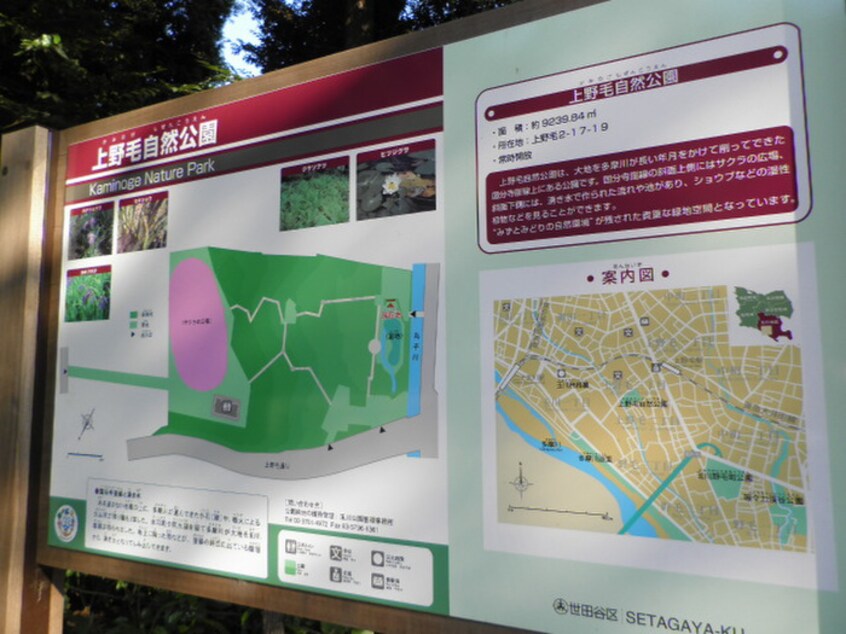 上野毛自然公園(公園)まで394m ピノハウス