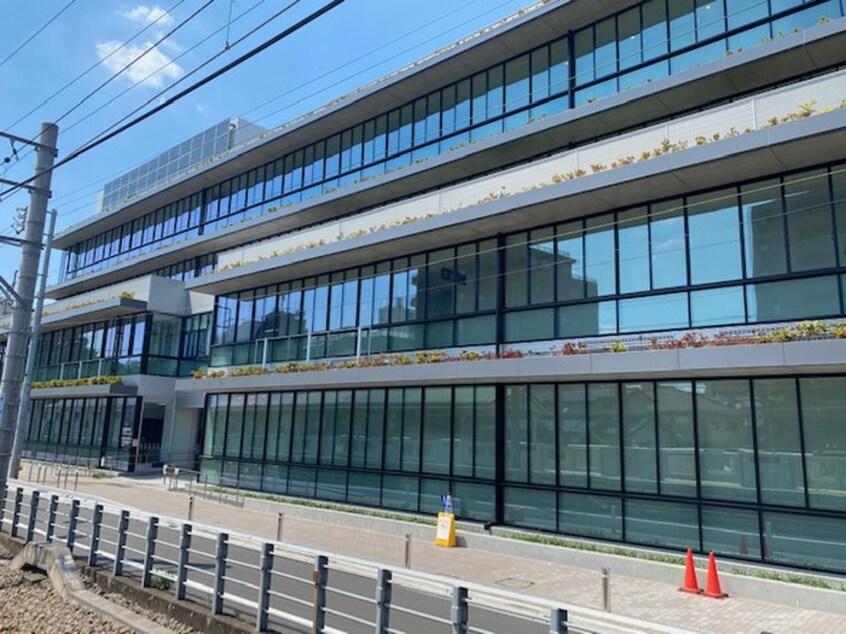 世田谷区役所(役所)まで731m ピノハウス