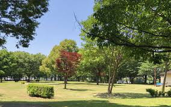 桜田運動公園(公園)まで550m 西大輪戸建