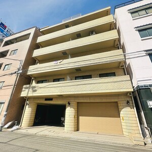 SUNOLIVE新名
