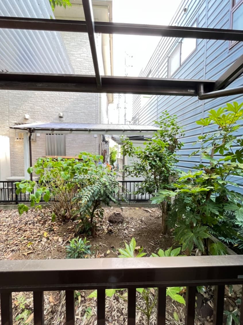 室内からの展望 カ－サ　ヴェルデ