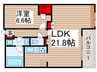 ﾌｧﾐｰﾙｽｸｴｱ松戸ﾘｰﾗｺﾓﾝｽﾞ(211) 1LDKの間取り