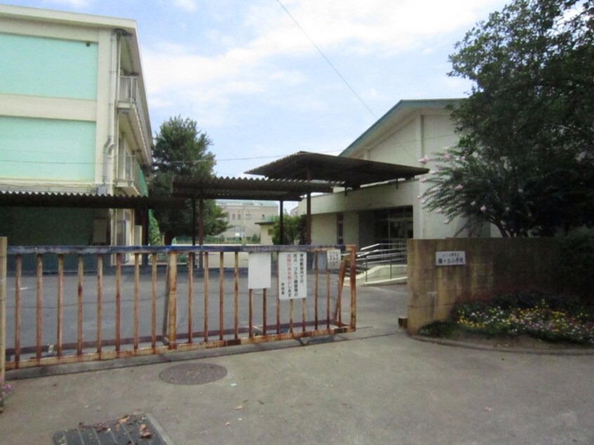 鶴ケ丘小学校(小学校)まで140m パ－ルエミネンス