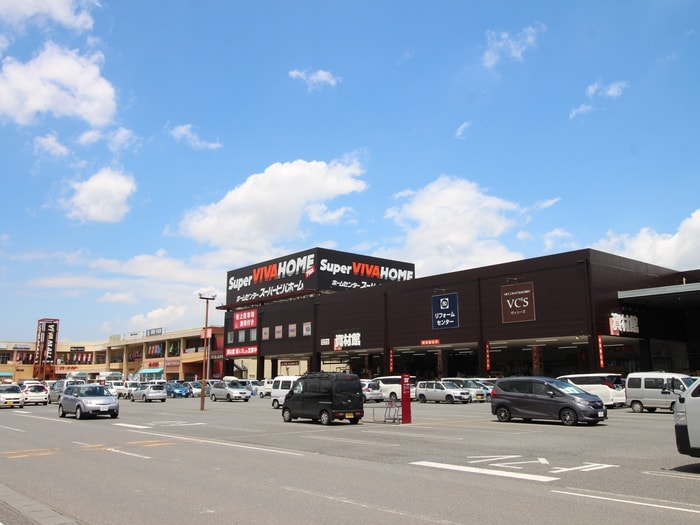 ビバモール埼玉大井店(ショッピングセンター/アウトレットモール)まで990m パ－ルエミネンス