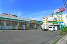 セイムス(ドラッグストア)まで240m STELLA