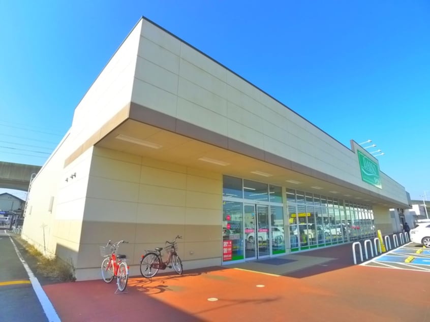 ダイソー(100均)まで300m ﾐﾚﾆｵつくば万博記念公園(1006)