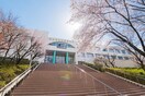 創価女子短期大学(大学/短大/専門学校)まで545m サンライズ北原