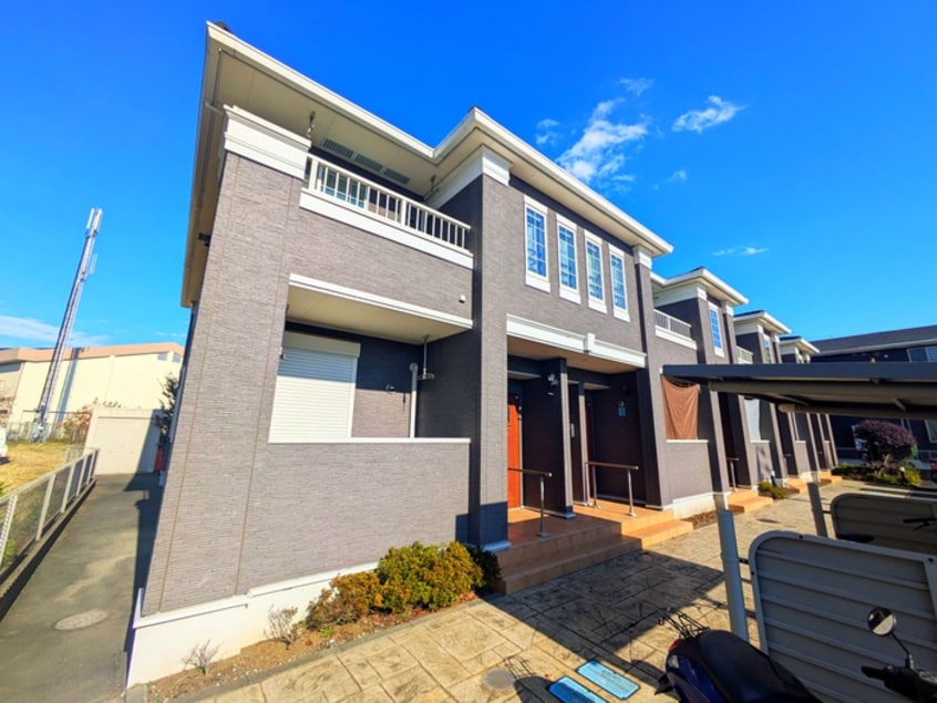 その他 チェリーブロッサム