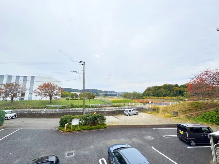 室内からの展望 チェリーブロッサム