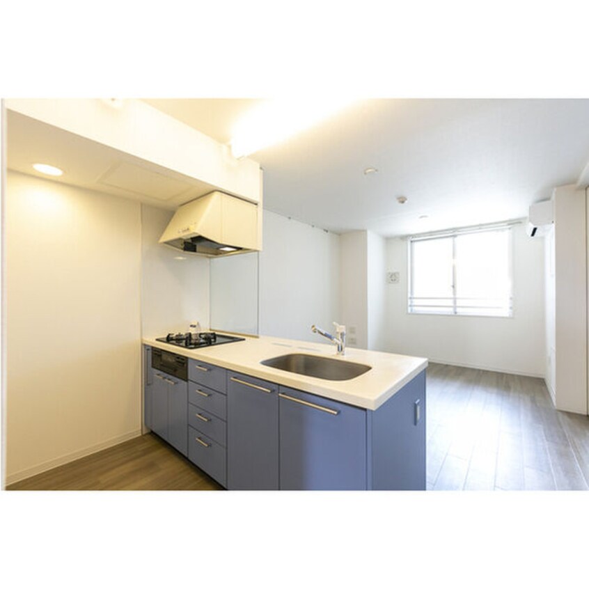 キッチン 東雲ｷｬﾅﾙｺ-ﾄCODAN２１号棟