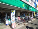 maruetsu プチ 大和町店(スーパー)まで331m 北島荘