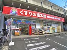 くすりの福太郎(ドラッグストア)まで310m 仮)船橋市本中山3丁目　新築工事