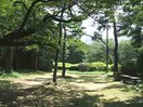 哲学堂公園(公園)まで505m ＭＫＣ新井薬師ハイツ