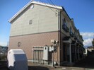 Foliar Sakamaの外観