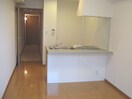 内観写真 カスタリア銀座Ⅲ