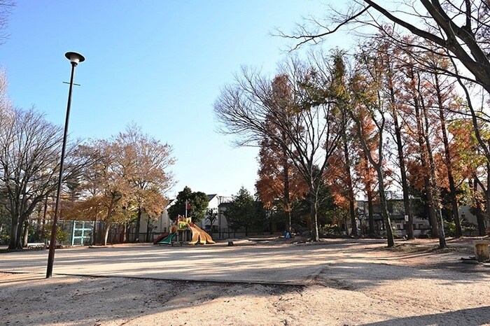 杉並区立梅里中央公園(公園)まで280m エトワ－ル新高円寺