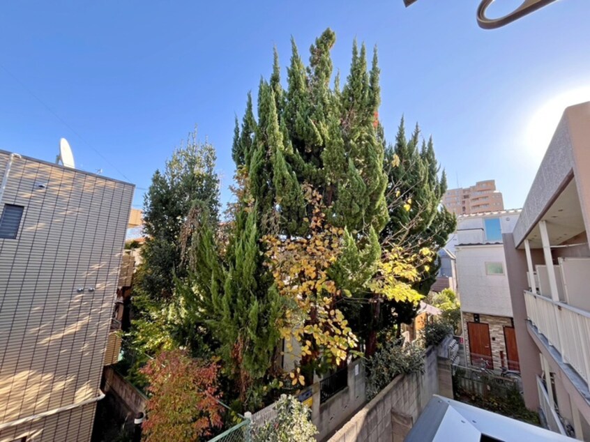 室内からの展望 ＭＡＩＳＯＮ　ＥＸＣＩＡ