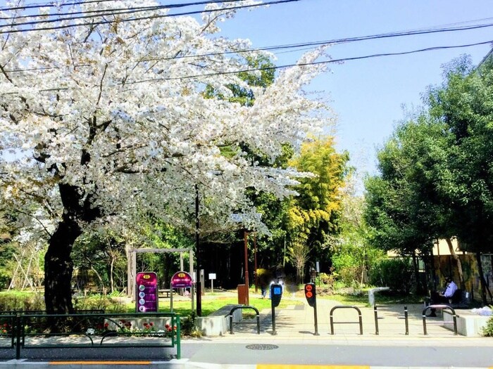 武蔵野市立吉祥寺の杜 宮本小路公園(公園)まで220m ＭＡＩＳＯＮ　ＥＸＣＩＡ