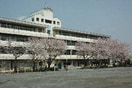 東所沢小学校(小学校)まで576m うちやまコ－ポ