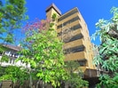 ﾗｲｵﾝｽﾞﾏﾝｼｮﾝ五反野第6（603）の外観