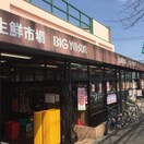 BIG YOSUN(ビッグヨーサン) 十日市場店(スーパー)まで335m エストーきりが丘