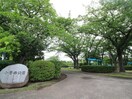 小菅西公園(公園)まで368m メゾン和田