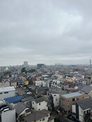 室内からの展望 Ｅｖｅｒｇａｒｄｅｎ