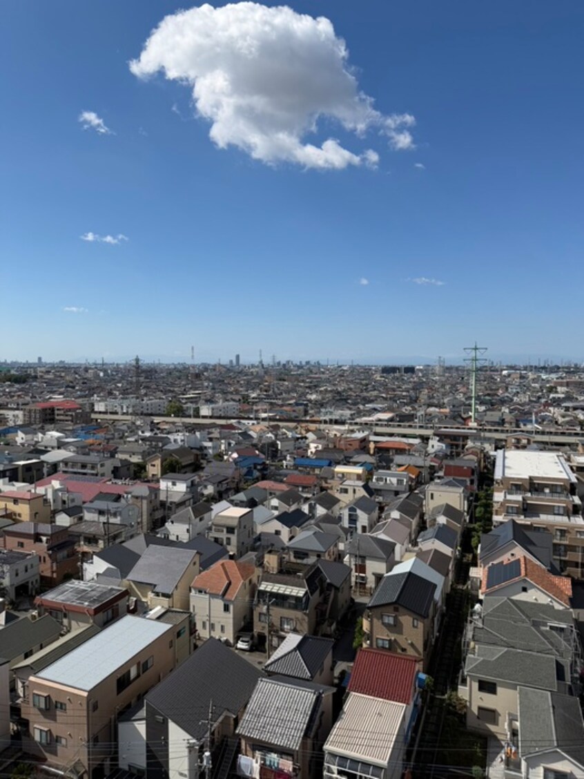 室内からの展望 Ｅｖｅｒｇａｒｄｅｎ