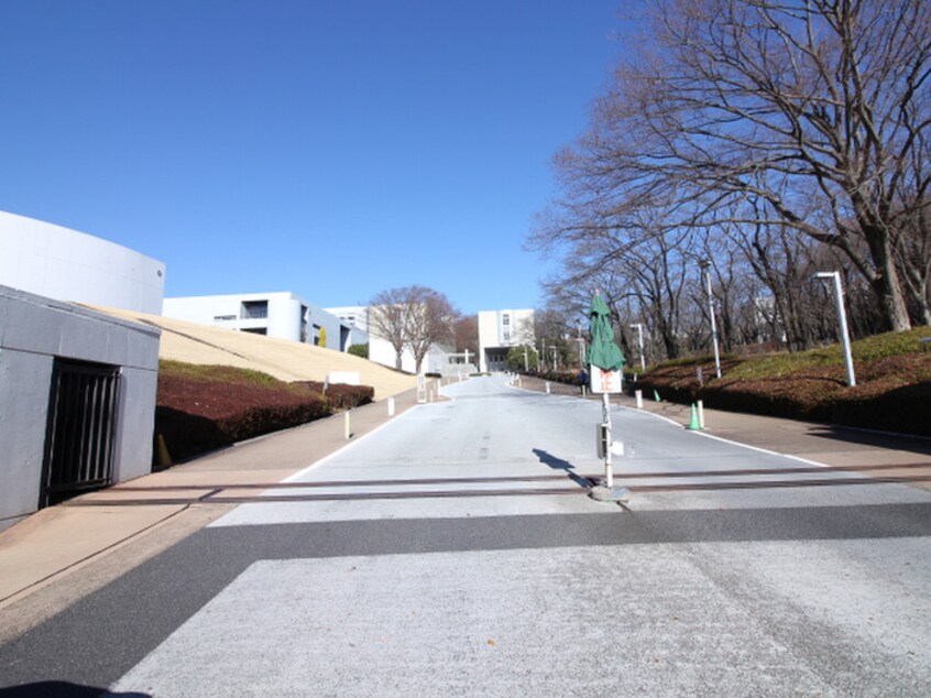 中央大学　多摩キャンパス(大学/短大/専門学校)まで2000m パルコ－ト・Ｓ