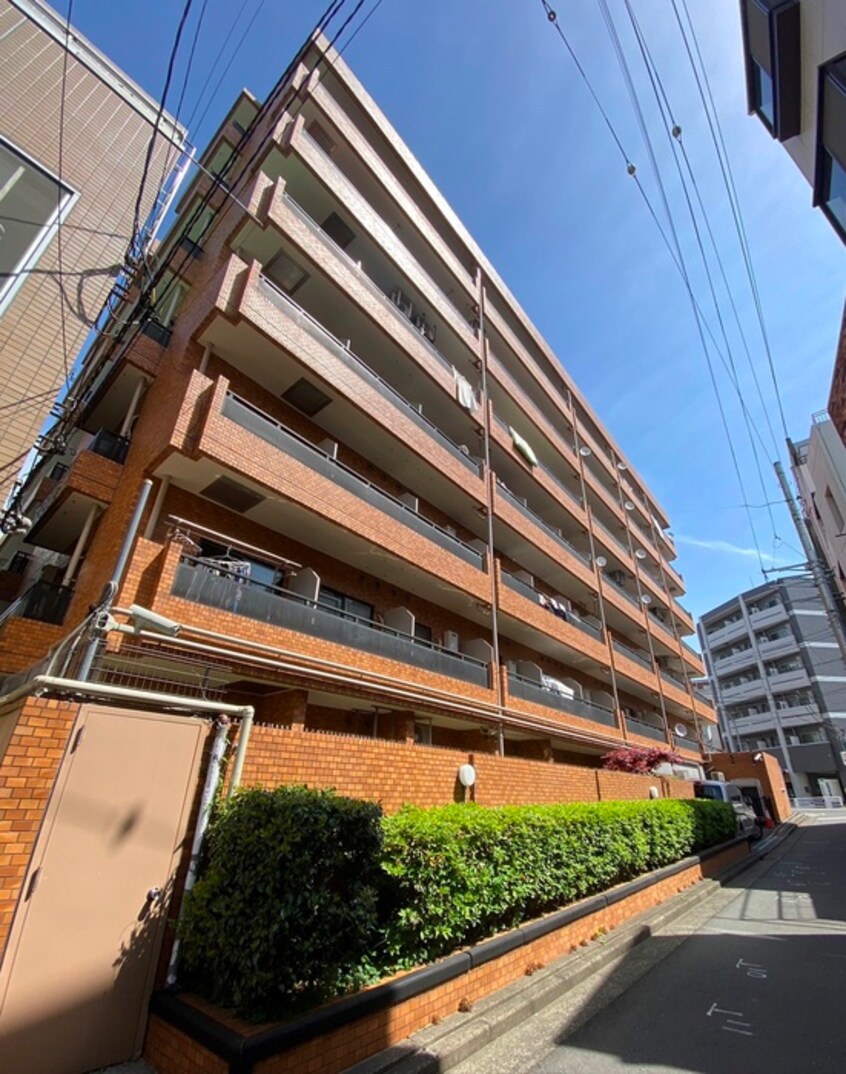 外観写真 ﾗｲｵﾝｽﾞﾏﾝｼｮﾝ元町（３１１）