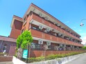 完成写真
