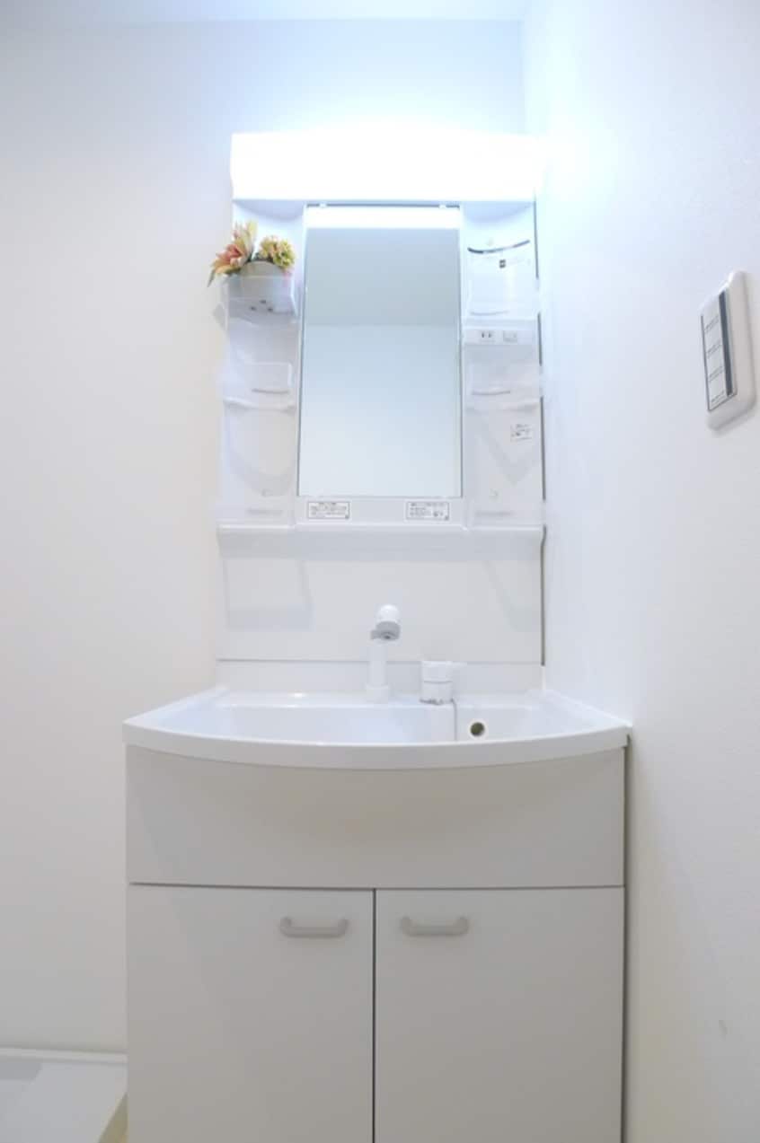 洗面 子犬と春風のダイアリー