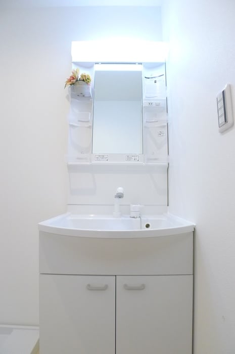 洗面 子犬と春風のダイアリー