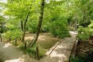 実篤公園(公園)まで344m 田園ハイム