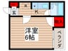 フェリス新松戸 1Kの間取り
