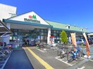 マルエツ(スーパー)まで269m Regaro津田沼Ⅱ