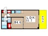 Elvita 1LDKの間取り