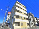Pｌumeriaの外観