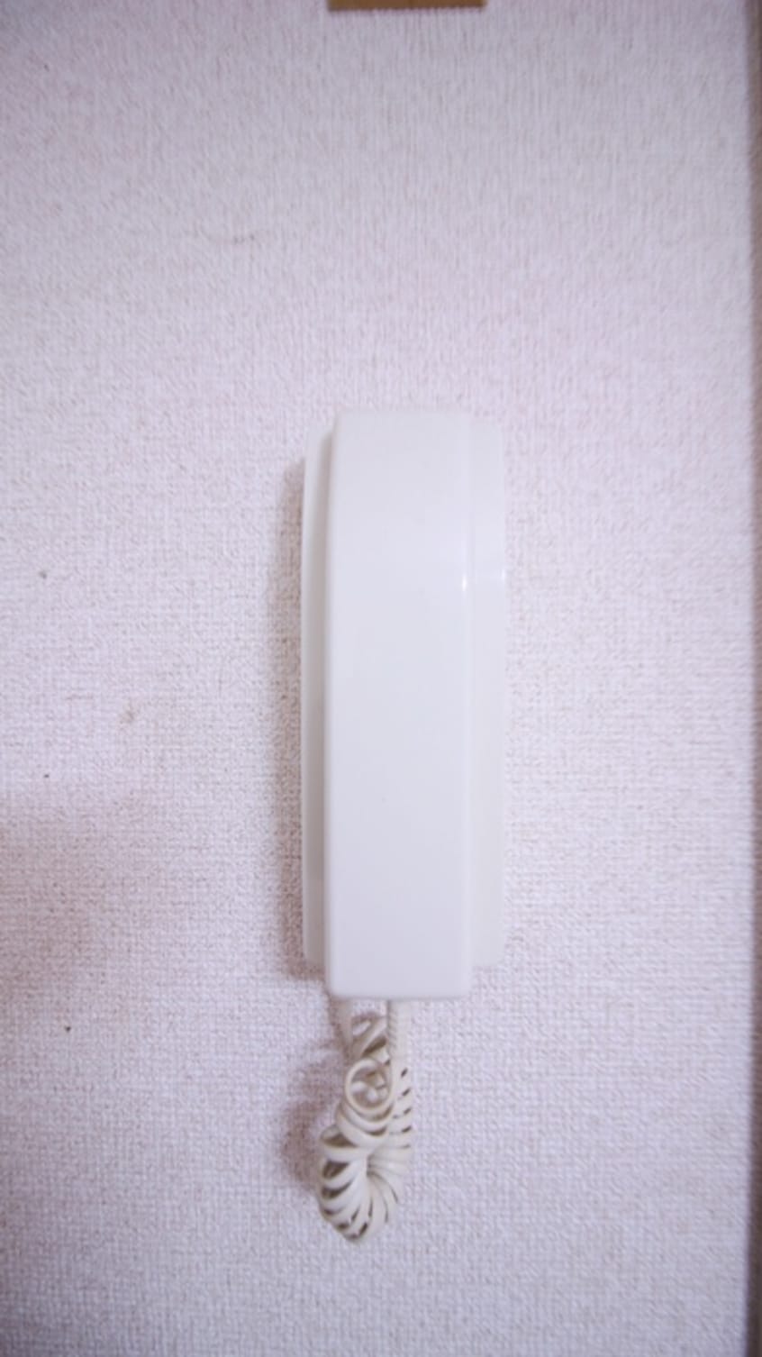内観写真 エルムフラット
