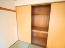 収納 ドラゴン