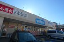 ウエルシア(ドラッグストア)まで450m ドラゴン