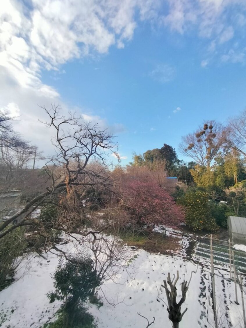 室内からの展望 Luonto古淵