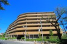 ＫＳ桜川の外観