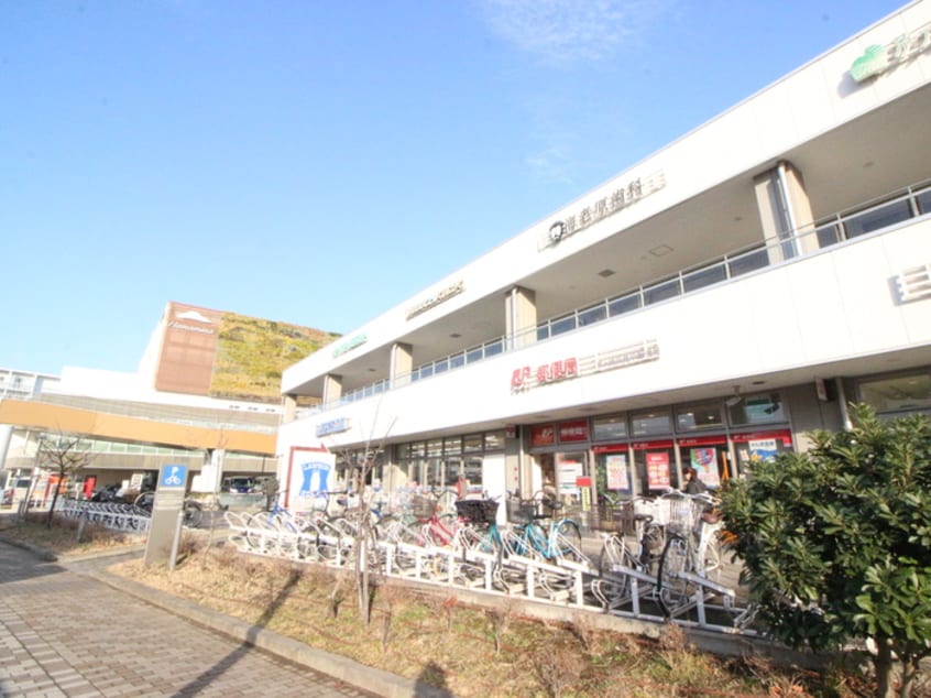 ブランチ茅ヶ崎(ショッピングセンター/アウトレットモール)まで489m シ－ジョイⅡ