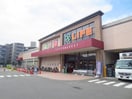 ライフ大倉山店(スーパー)まで1200m ディア・ロードＵＰ