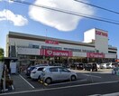 三和 相模が丘店(スーパー)まで293m イズミビルド