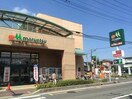 マルエツ砂町店(スーパー)まで400m Camellia　House