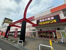 MEGAドン・キホーテ(ディスカウントショップ)まで800m シュロス蓮田
