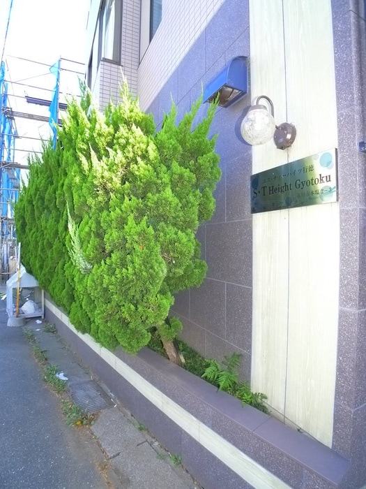 エントランス部分 エスティーハイツ行徳